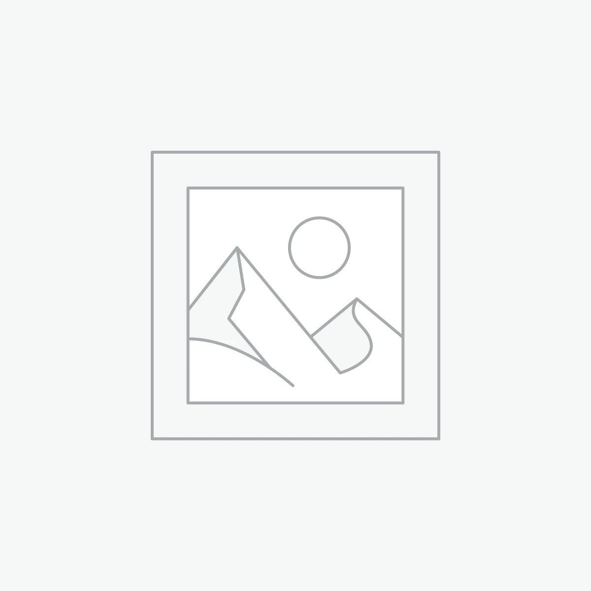 無號的共働機甲